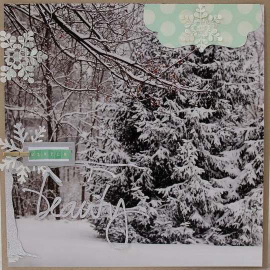 Winter Beauty- *Kerri Bradford Studio*