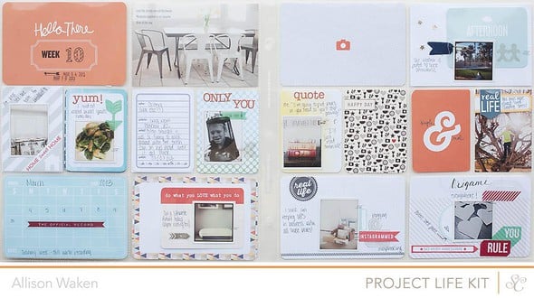 Project Life Week 10: Main PL Kit Only by AllisonWaken gallery
