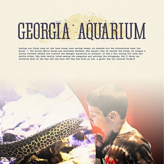 Georgia Aquarium (l)