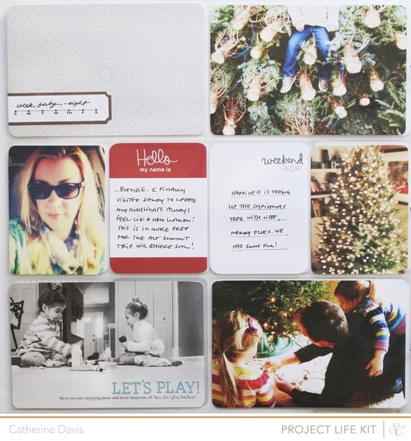 Block Party Project Life {Main Kit Only} by CatherineDavis gallery