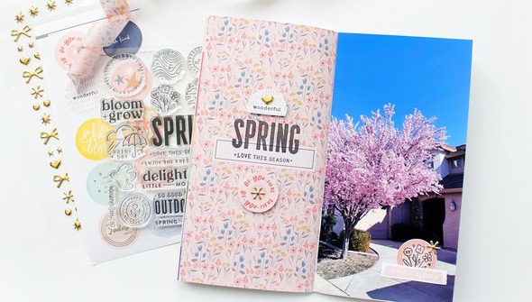 Stamp Set : 4x6 Spring by In a Creative Bubble gallery