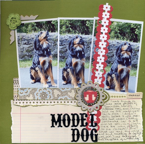 Model Dog by scrappyfran gallery