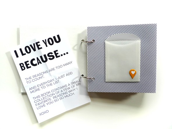 I Love You Because Mini Album - Part 1 by analogpaper gallery