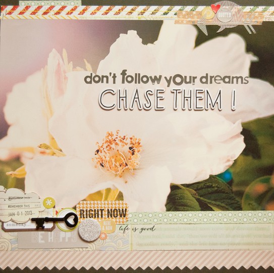 Don't follow your dreams, chase them!