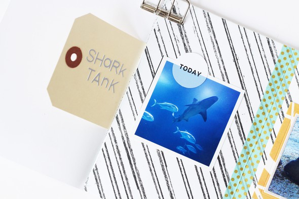 Shark Tank - May 2016 mini album by terriblygreat gallery