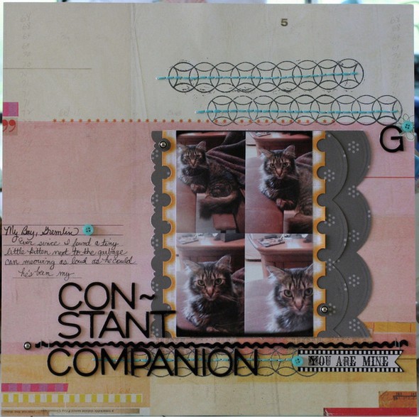 constant compnanion by valerieb gallery