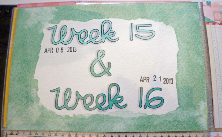 Week 15 & 16 Project Life