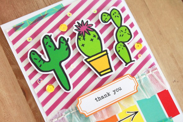 Thank You Cacti by photochic17 gallery