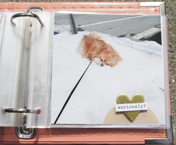 Puppy Love 4x4 Mini-Album by shayneb gallery
