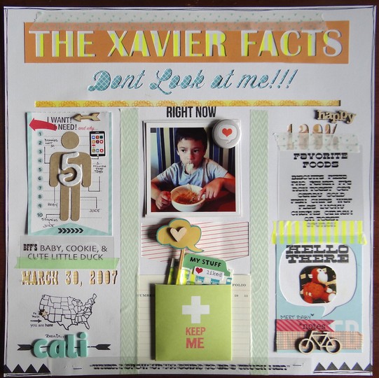 THE XAVIER FACTS