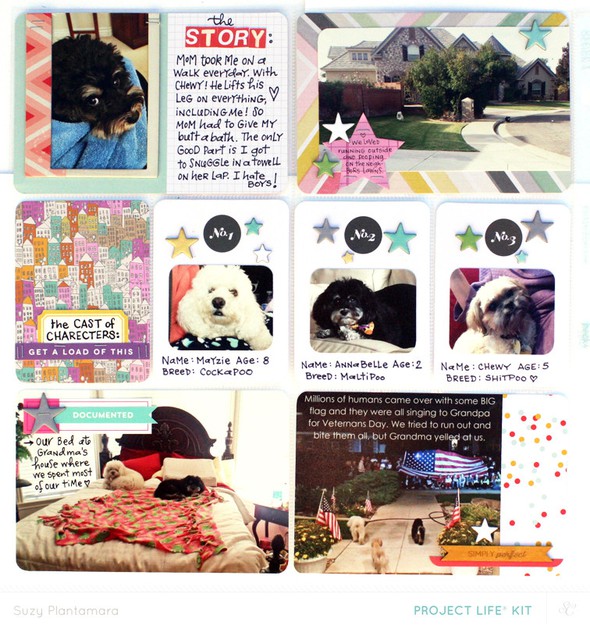 A Week In The Life of 3 Dogs (PL kit only) by suzyplant gallery