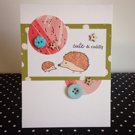 Cute and cuddly hedgehogs Card