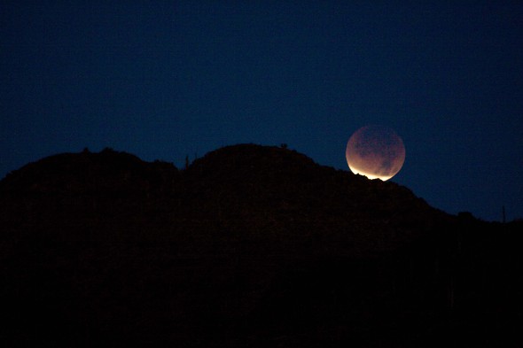 Lunar Eclipse by scrapally gallery