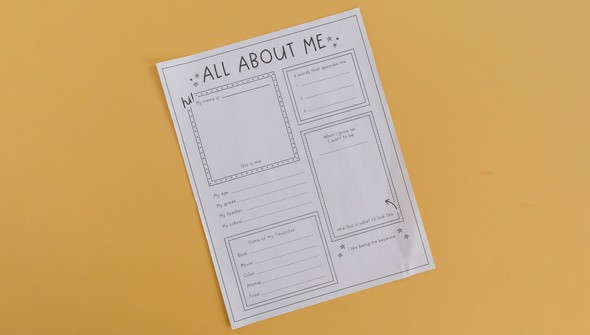 All About Me Poster Pack gallery