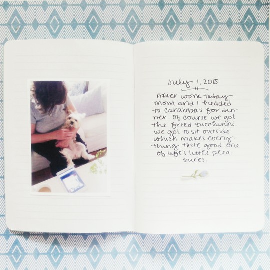 july 1 journal page