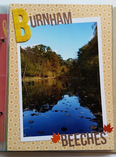 October - Burnham Beeches