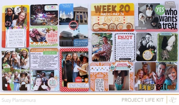 Project Life Week 20 by suzyplant gallery