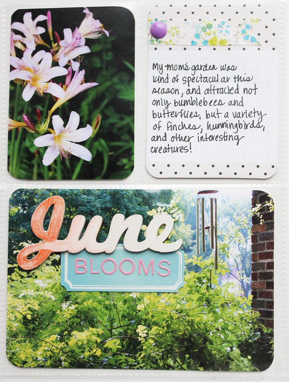 June Blooms by Hannahbelle gallery