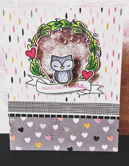 Happy Birthday Owl Shaker Card