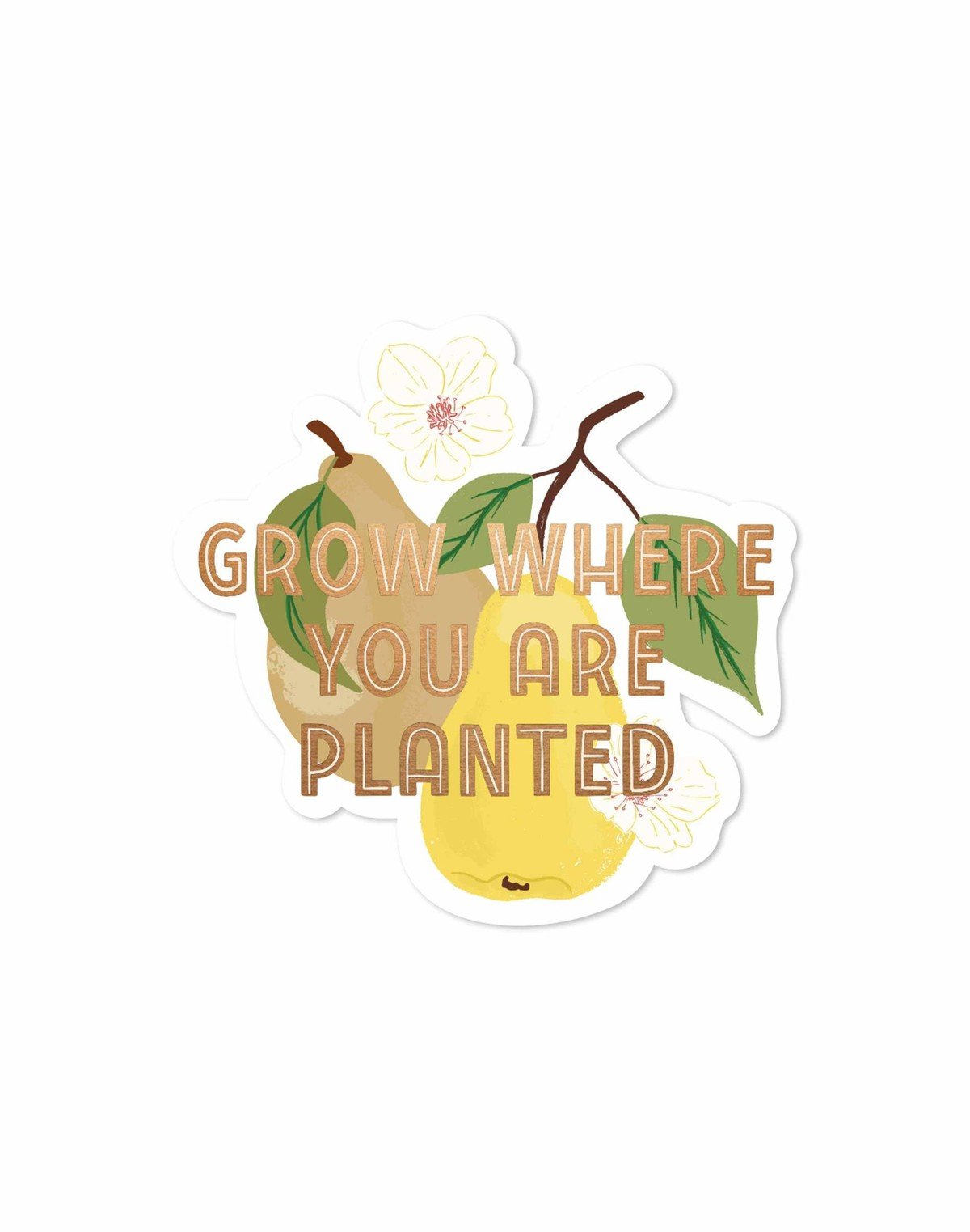 Grow Where You Are Planted Pear Decal Sticker item