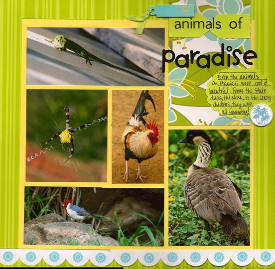 Animals of paradise panorama