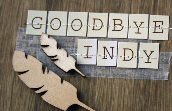 Goodbye Indy by harbourgal gallery