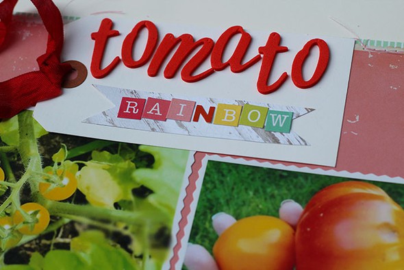 tomato rainbown by AshleyC gallery