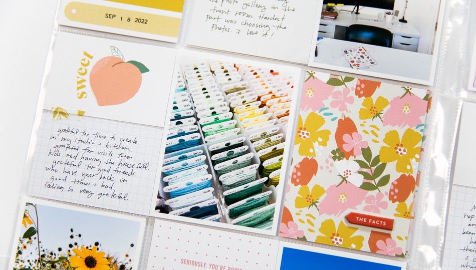project_life subscription