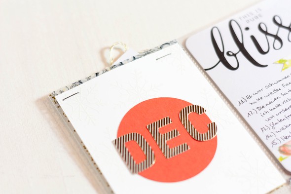 December Daily Days 11-15 by CreativeNikki gallery
