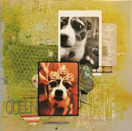 Fitty scrapbooking norma dog jack russell crafts paper project life  mixed media   american crafts   madebyfitty photography layout   10a (800x794)