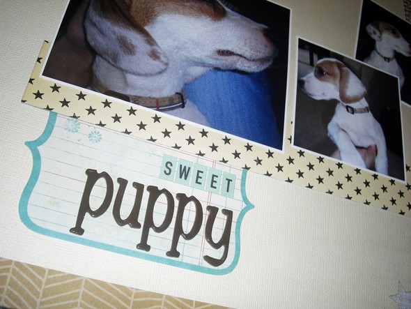 Sweet Puppy by silverscraps gallery