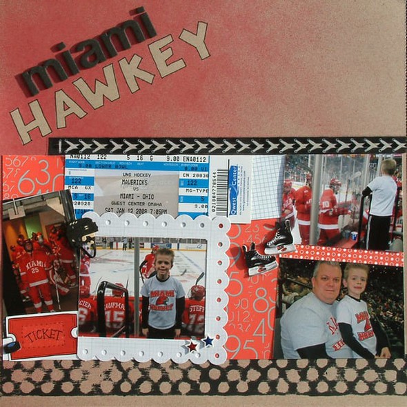 Miami Hawkey by Betsy_Gourley gallery
