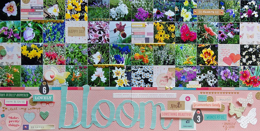 Bloom by jennifer larson sbc