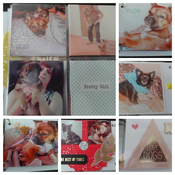 Mini Album_BAXTER DOG HANDBOOK ALBUM by m0ura gallery
