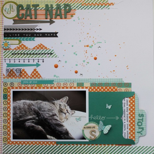 Cat nap1
