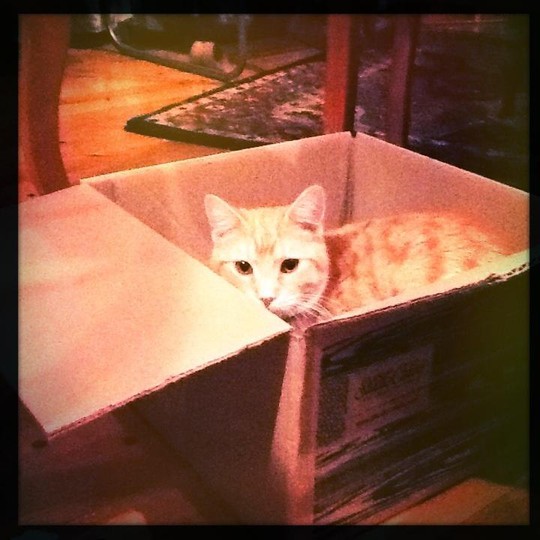 Panloaf in an SC box!