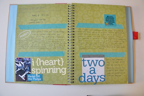 Weight Loss Journal - Smash style! by SwannPrincess gallery