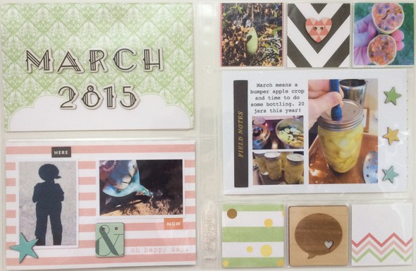 March 2015 Project Life Album by anniefb gallery
