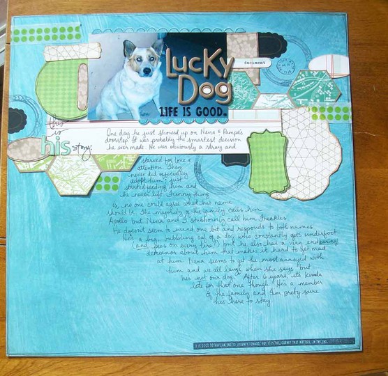 Lucky Dog - Sketch 9