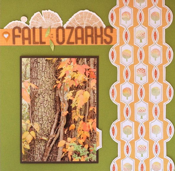 Fall In The Ozarks  by SuzMannecke gallery