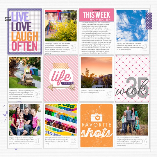 Project Life 2016: Week 35