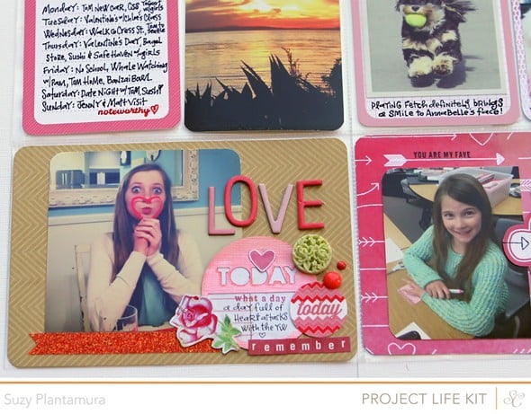 Project Life Week 7 2013 by suzyplant gallery