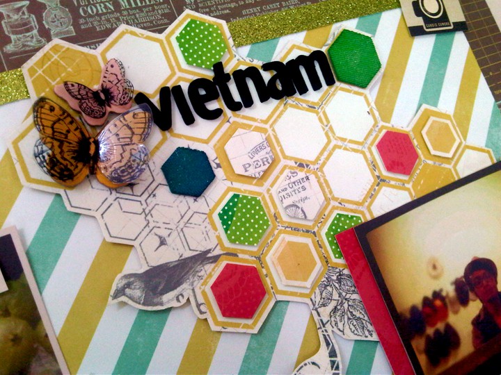 Vietnam hexagons