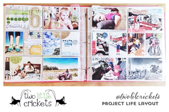 Week 6 - Project Life 2014 by twolilcrickets gallery