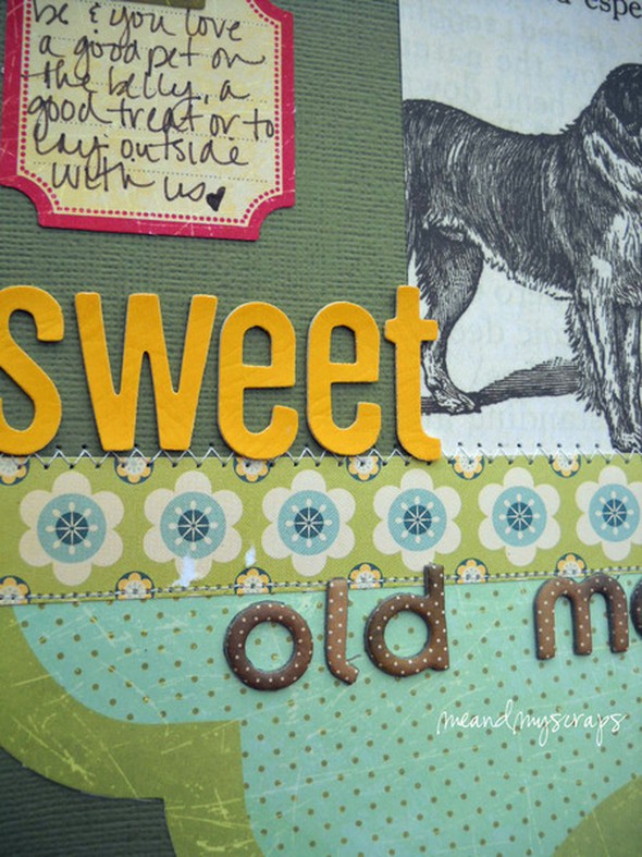 Sweet Old Man by MichelleW gallery