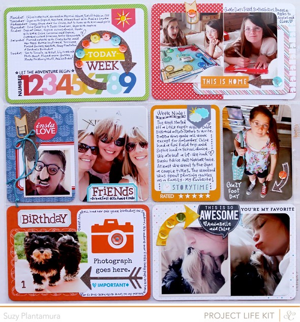 Project Life Week 9 (PL Kit ONLY) by suzyplant gallery