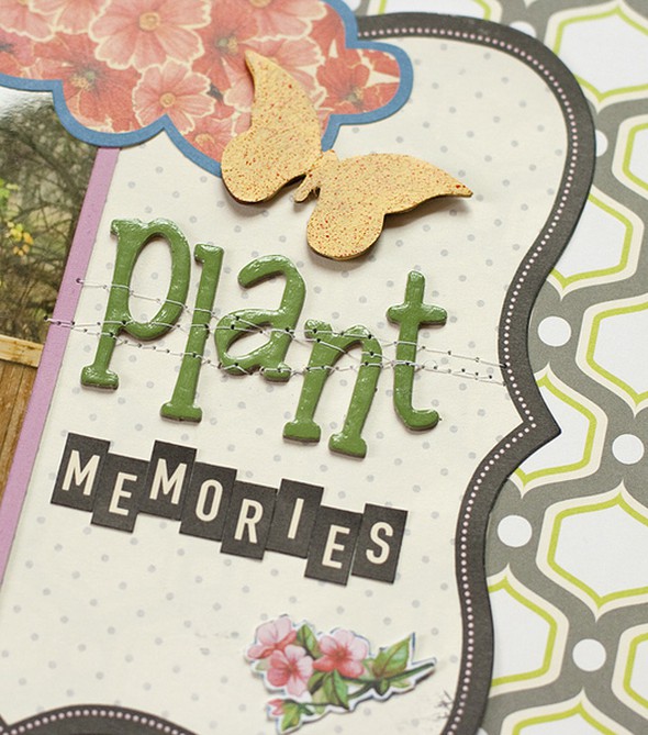 Plant Memories by dpayne gallery