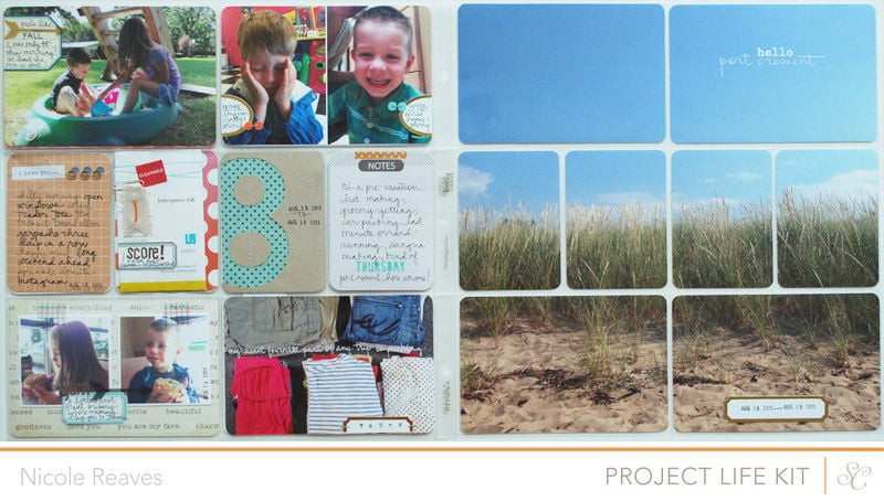 Project Life : Week 33