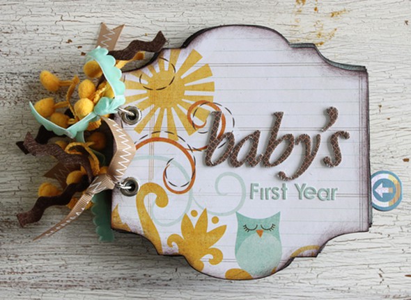 Baby's First Year by meghannandrew gallery