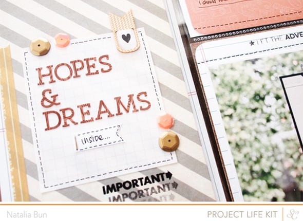hopes & dreams - main kit only by natalia gallery